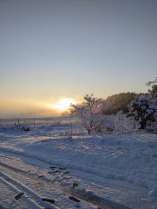 2022年の雪景色の朝日